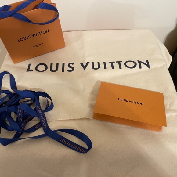 Louis Vuitton Beauborg Hobo MM Bag - Mahina - Picture 11 of 12